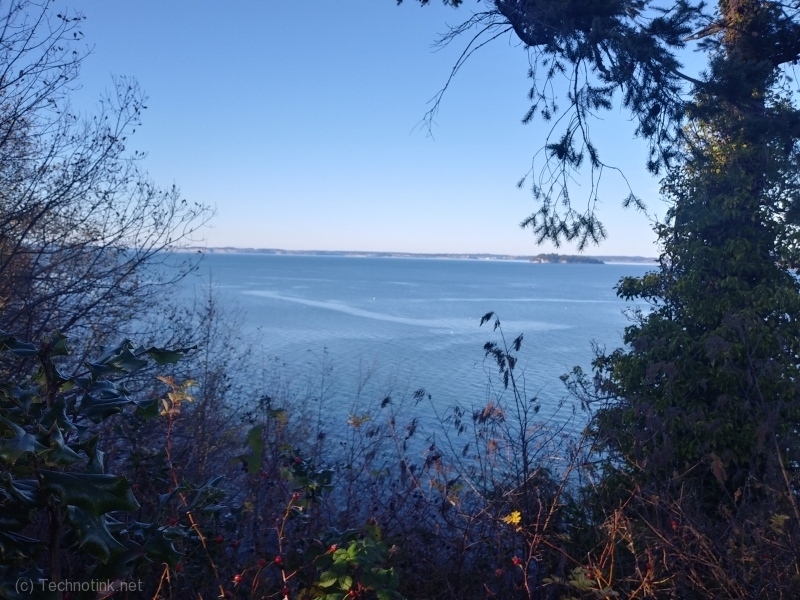 20191130_105933_HDR