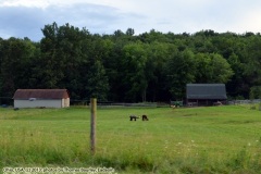 countryside just outside of Athens, Ohio - Driving through Ohio - Travels on the Great American Walkabout 2013 - enrout from South Carolina North to New York, and West to Oregon - Friday, June 5, 2013.   Photography (c) 2013 Thomas Baurley, Eadaoin Bineid, Leaf McGowan, Technogypsie Productions. www.technogypsie.com/photography/.  To follow the stories and tales visit http://www.technogypsie.com/reviews/ and http://www.technogypsie.com/chronicles/