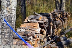 Fun in Grand Lake, Colorado. Sunday, October 4, 2020. https://technotink.net/adventures/?p=3027 The Adventures of Sir Oisin Leif:  Saga 1 - Dual states at https://technotink.net/adventures/?page_id=2.  Photography by Sir Oisin Leif, Thomas Baurley, Leaf McGowan, Technotink.net/photography  (c) 2020. All rights reserved.