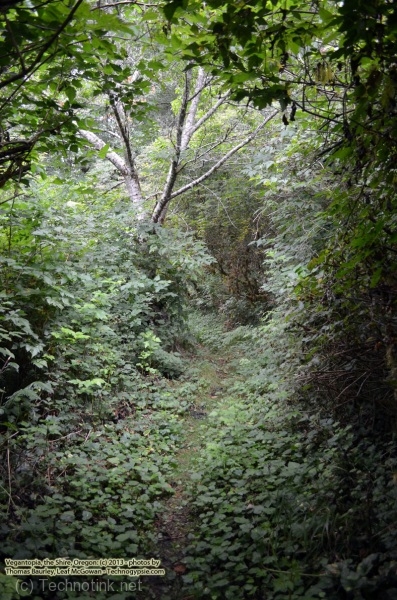 080213-043.jpg