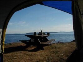 Salt Springs (BC)