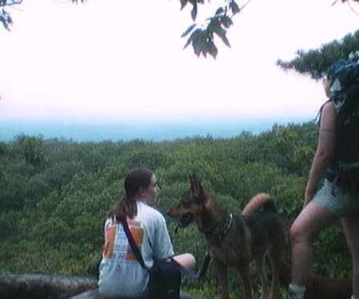 Appalachian Trail: New York – Depot Hill Road to Route 52