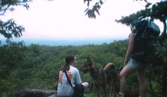Appalachian Trail: New York – Depot Hill Road to Route 52