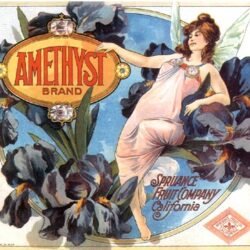 Advertising