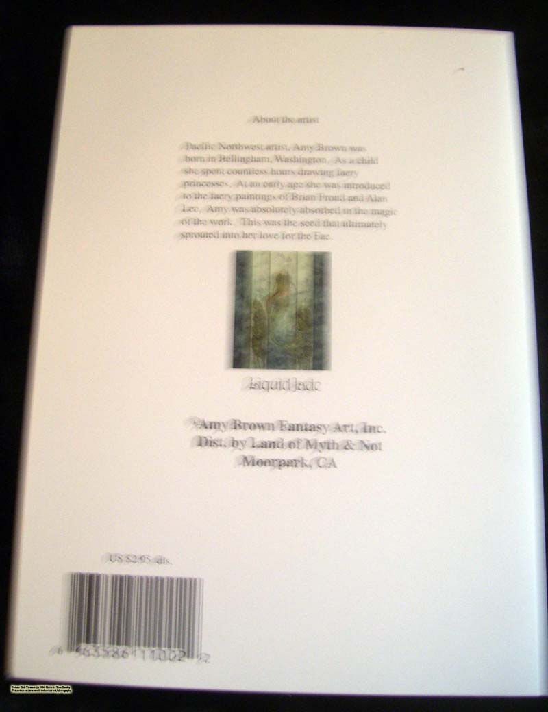 Framed Liquid Jade Fantasy Card by Amy Brown - Image 4