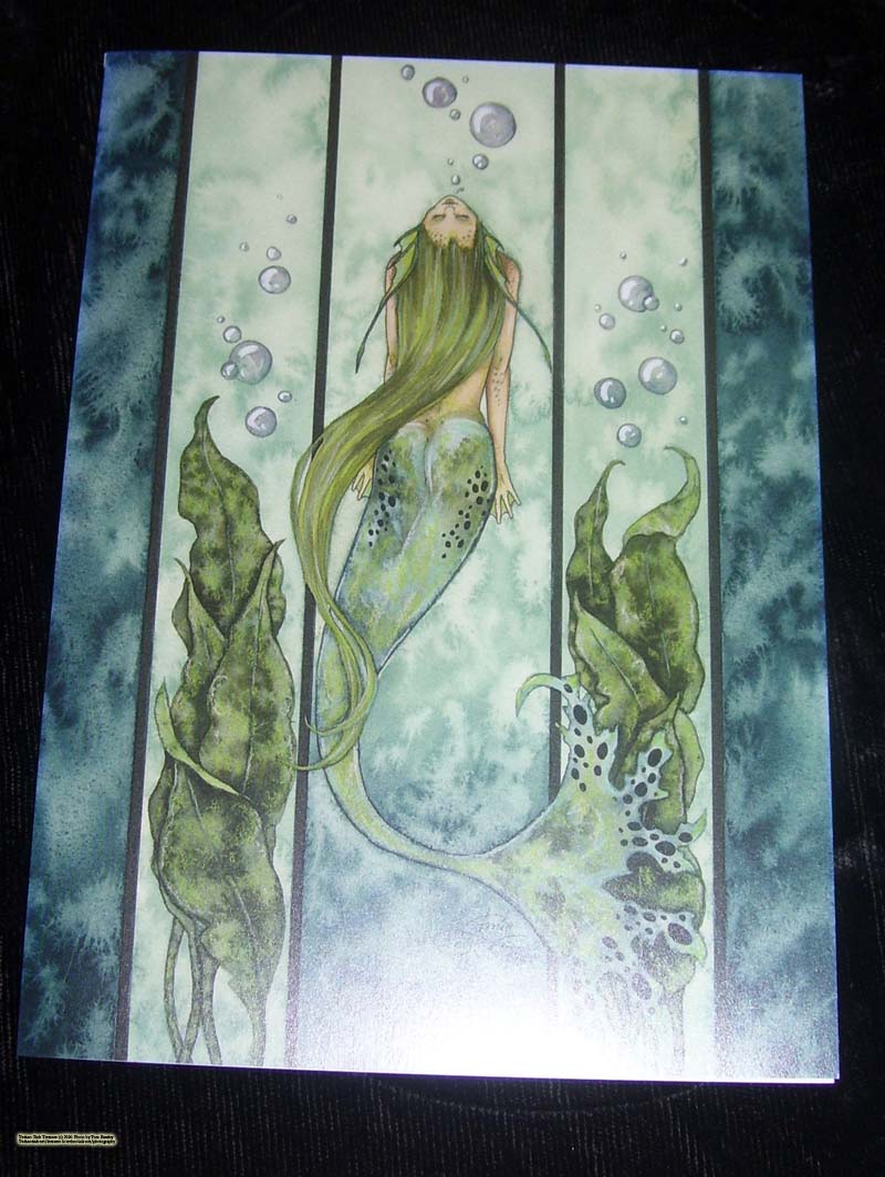 Framed Liquid Jade Fantasy Card by Amy Brown - Image 5