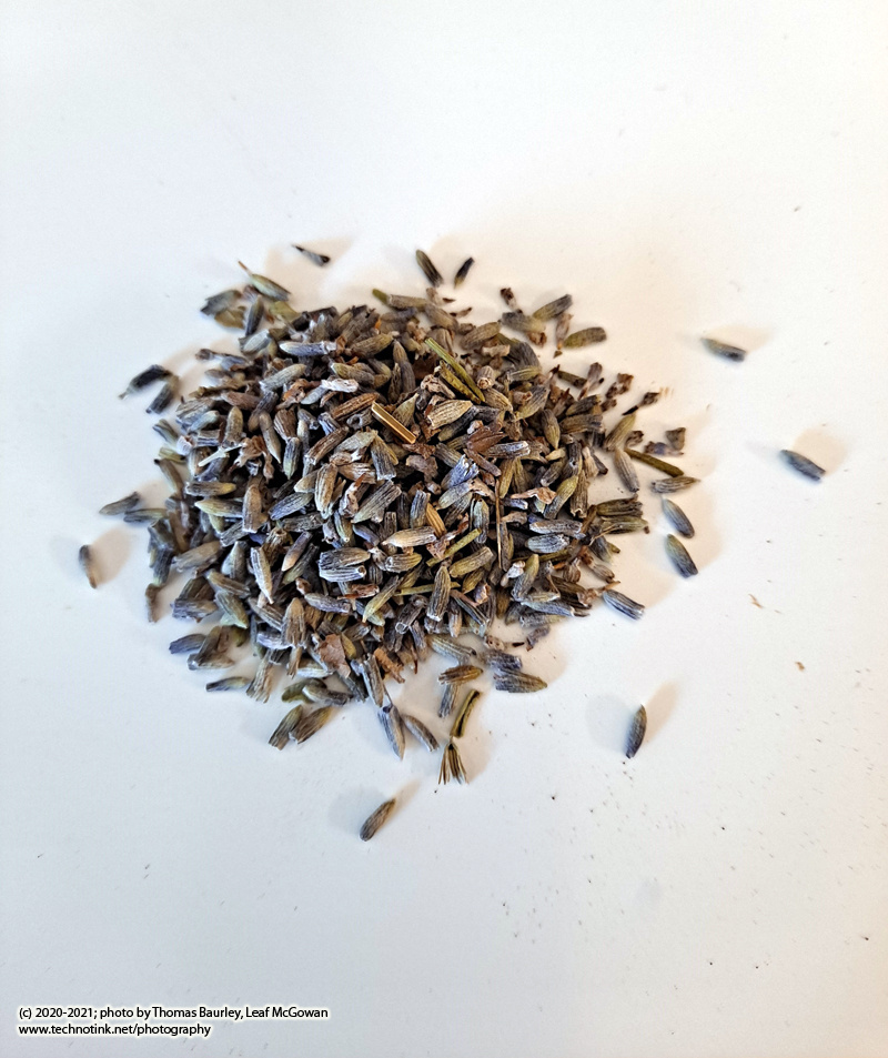 Lavender Flowers #2, 1 oz - Image 2