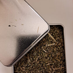 Catnip Leaf, 3 oz in a re-usable tin