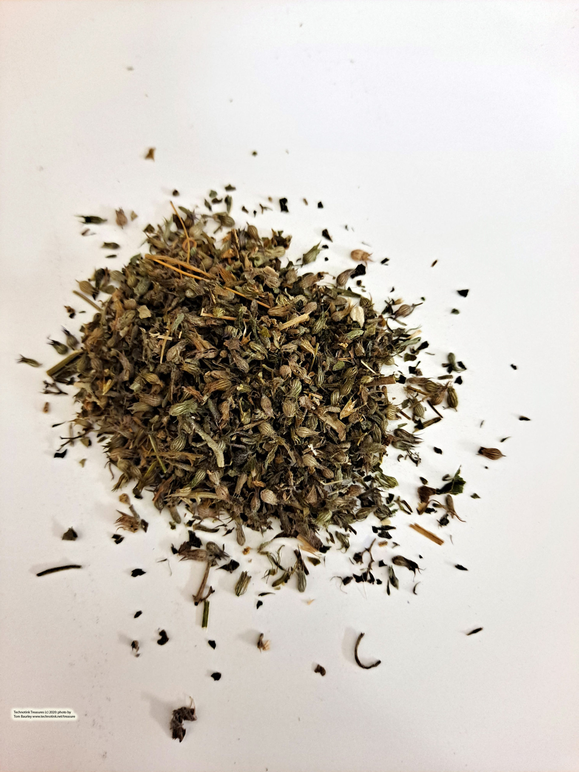 Catnip Leaf, 3 oz in a re-usable tin - Image 5