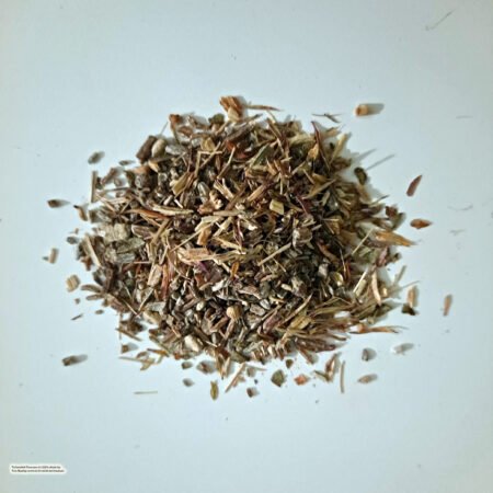 Echinacea angustifolia - c/s, 1 oz