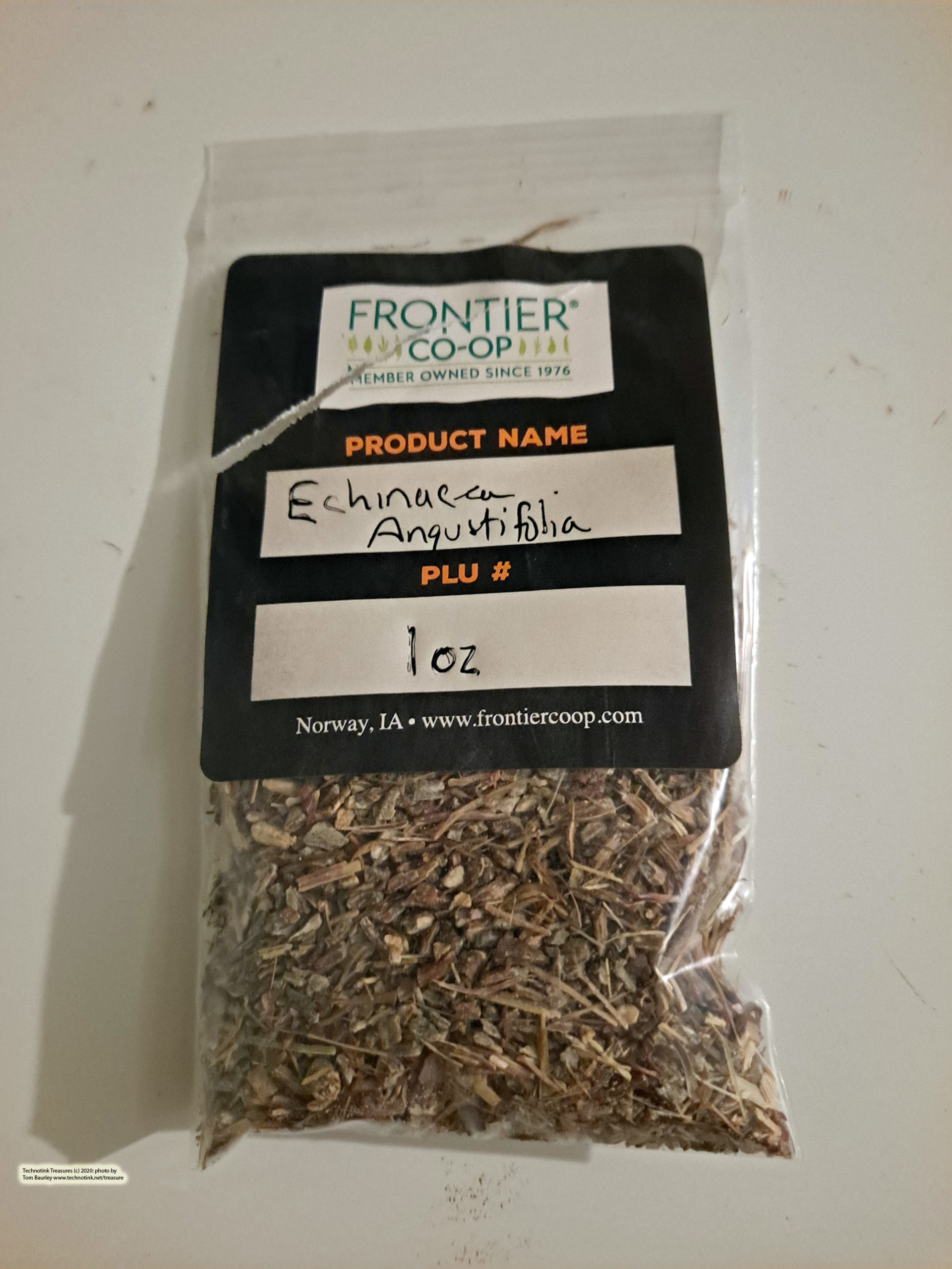Echinacea angustifolia - c/s, 1 oz - Image 2