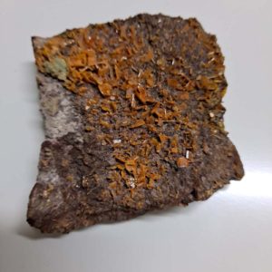 Wulfenite Crystals 2.5 x 2.25 x .5 inches