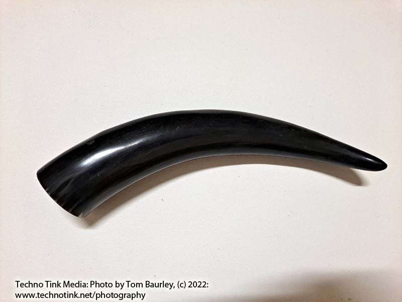 Medium black Drinking Horn 13"x2.5"x2.25" - Image 2
