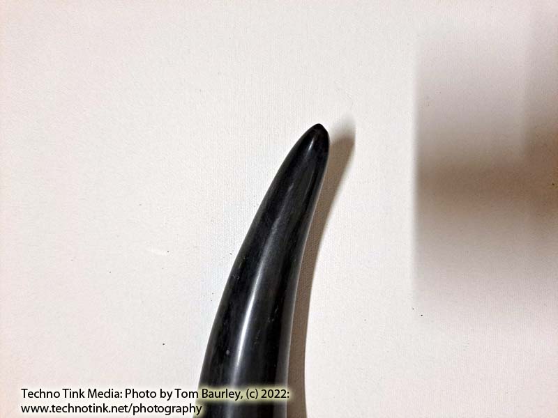 Medium black Drinking Horn 13"x2.5"x2.25" - Image 3