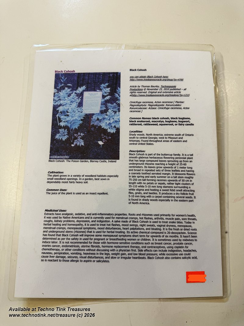 Laminated Tree Info Sheet: Black Cohosh