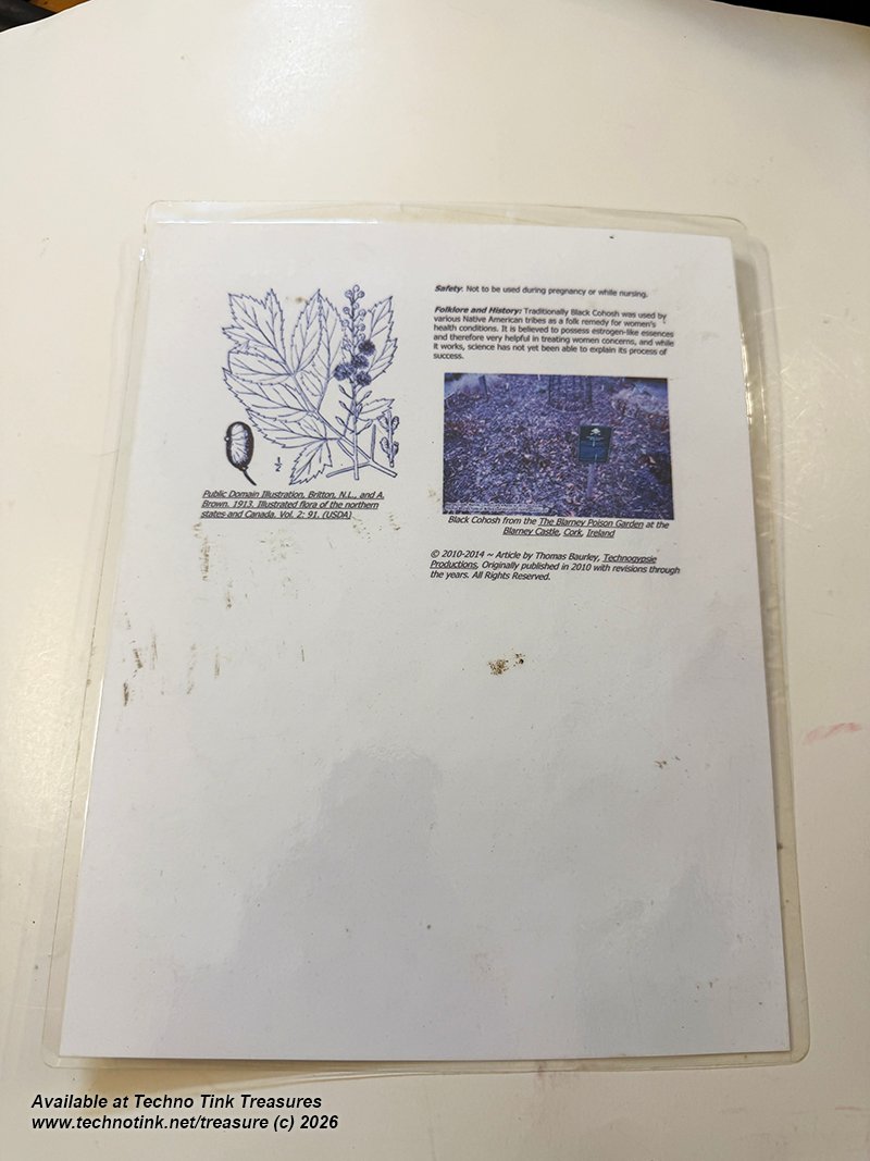 Laminated Tree Info Sheet: Black Cohosh - Image 5