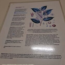 Laminated Tree Info Sheet: Styrax Benzoin Tree - Benzoin Gum