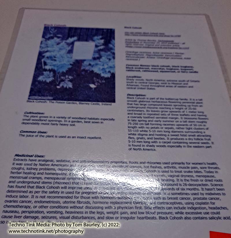 Laminated Tree Info Sheet: Black Cohosh