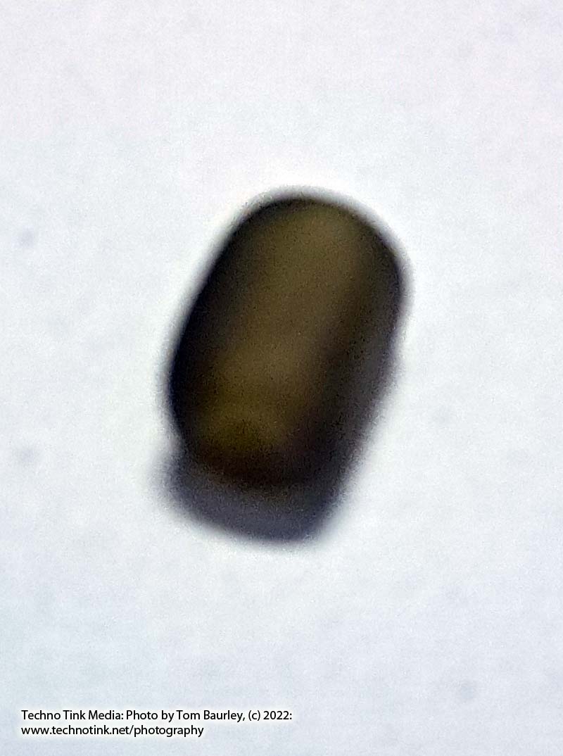 Viking Grave Glass Beads - Replica, Dark Yellow Rough Barrel - Image 2