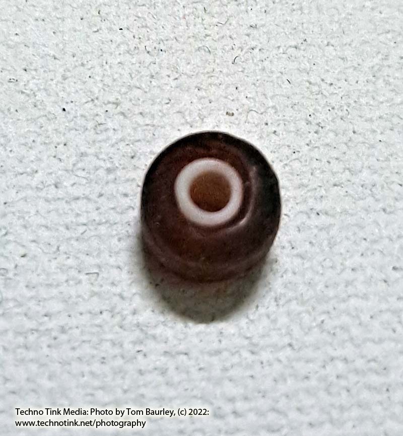 Viking Grave Glass Bead - Replica, Dark Blood Red Corn Kernel Shape Oval - Image 2