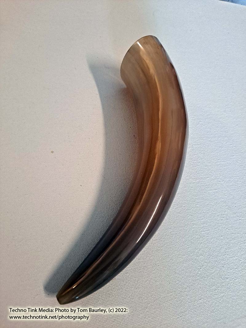 Tan or Beige 10-12" Buffalo Drinking Horn, Polished - Image 6