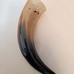 Tan, Brown, Black Small 7-9" Drinking Horn, Polished