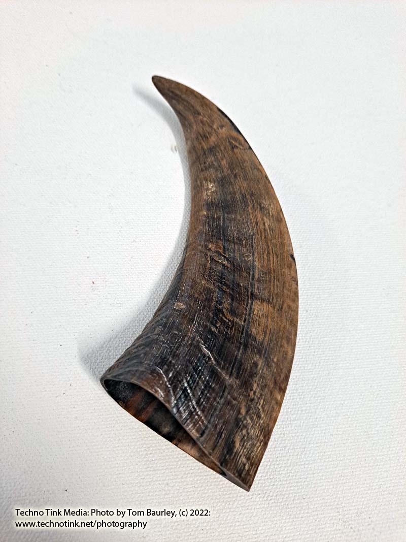 Ram Horn 4-6" - Image 6