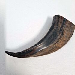 Bones and Horns