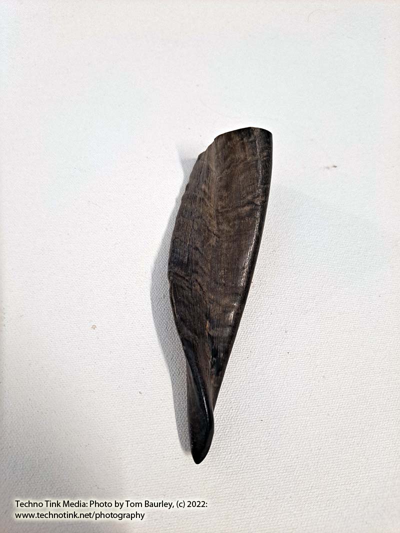 Ram Horn 4-6" - Image 10