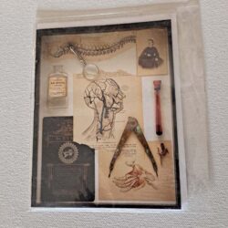 Mechanics III: Lost Photo Art Card by Anita Arora 2009