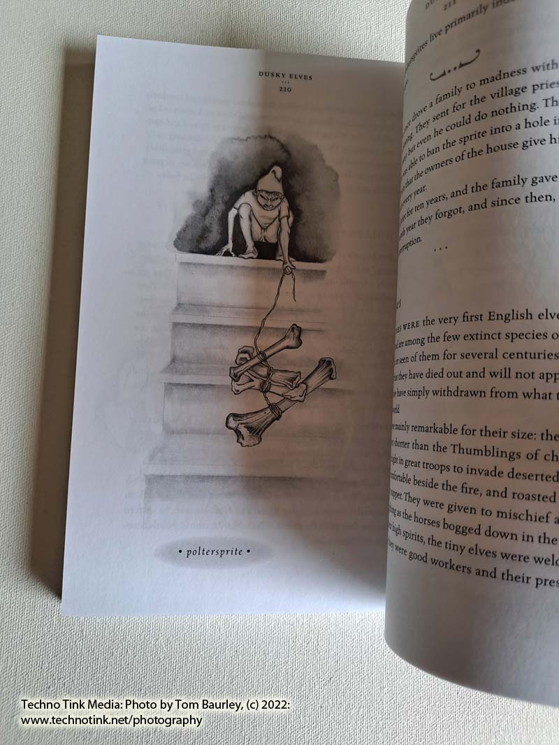 Field Guide to the Little People by Nancy Arrowsmith (paperback) - Image 7
