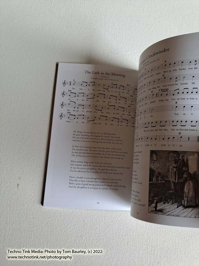 The Very Best Irish Songs and Ballads: Vol 4 - Words, Music, and Guitar Chords by Pat Conway - Image 7