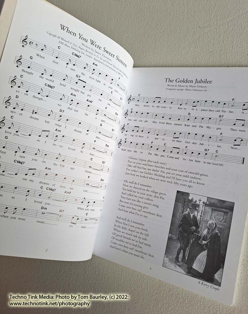 The Very Best Irish Songs and Ballads: Vol 4 - Words, Music, and Guitar Chords by Pat Conway - Image 9
