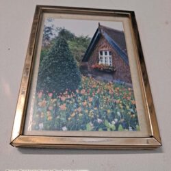 A centrally themed historic cottage with flowers in Dublin Park 6x4 photo in 7x5 gold metal frame