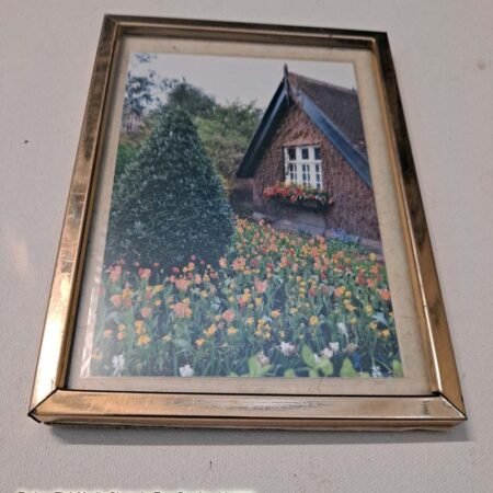 A centrally themed historic cottage with flowers in Dublin Park 6x4 photo in 7x5 gold metal frame