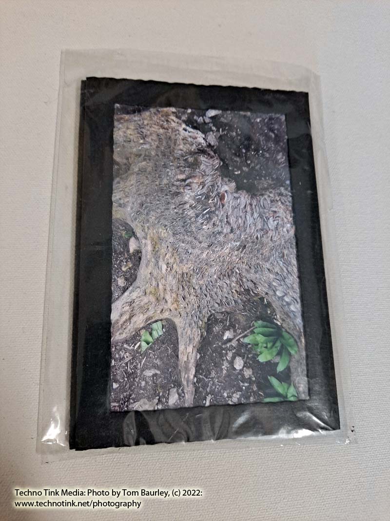 Photo card of money tree trunk Yorkshire Dales by Tom Baurley - Image 2
