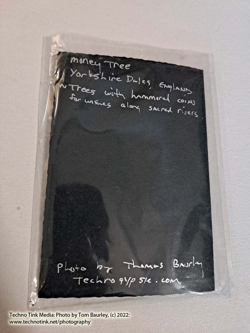 Photo card of money tree trunk Yorkshire Dales by Tom Baurley - Image 3