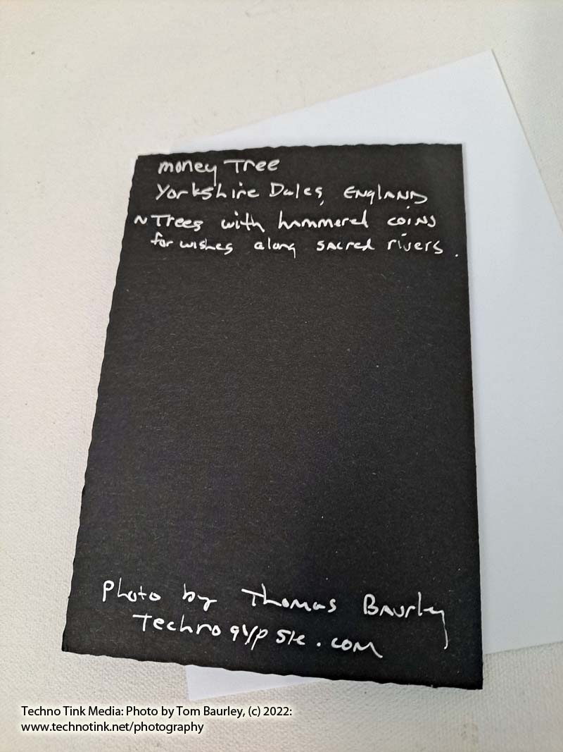 Photo card of money tree trunk Yorkshire Dales by Tom Baurley - Image 6