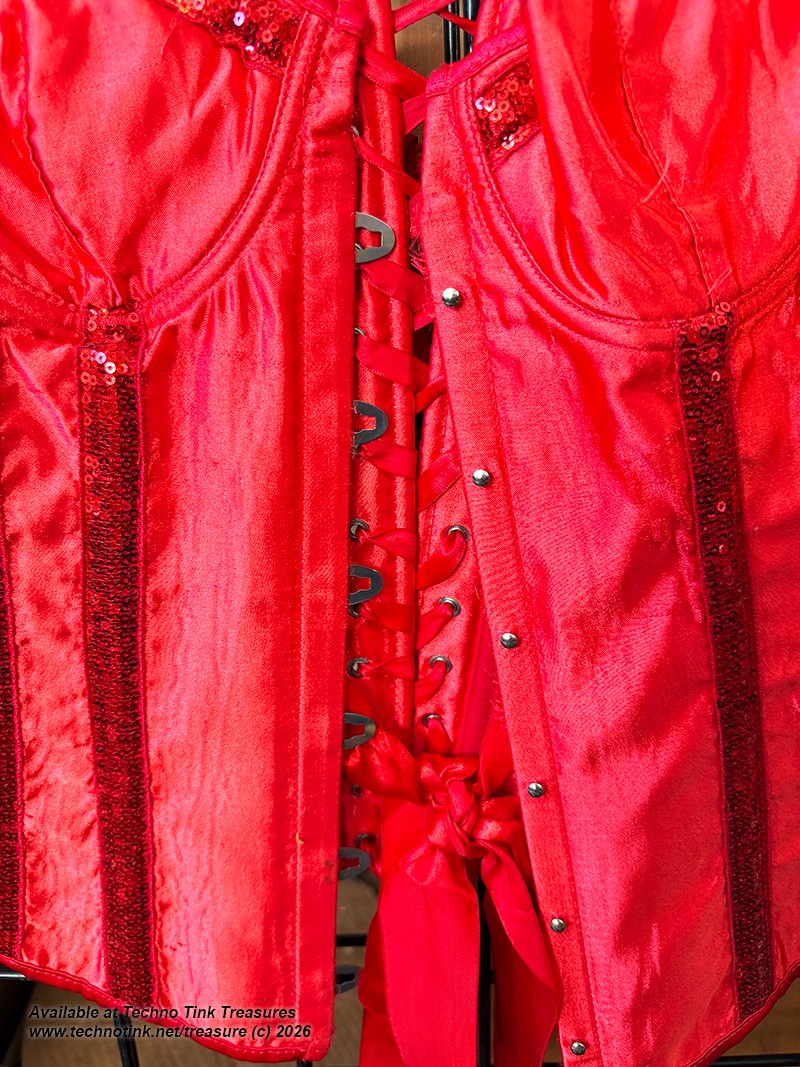 Medium Shiny Red Corsette with ribbon and clasps - Image 8