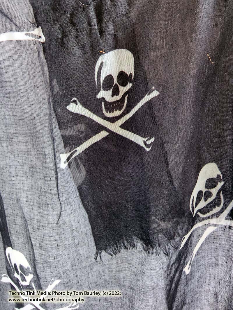 Grey/White Skull Crossbones Black Gauze Scarf