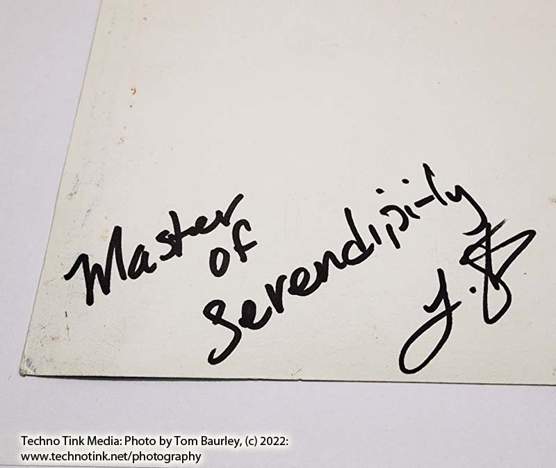 Master of Serendipity Jester Painting - Image 7