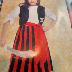 Girl's Pretty Pirate Costume for Small 4-6