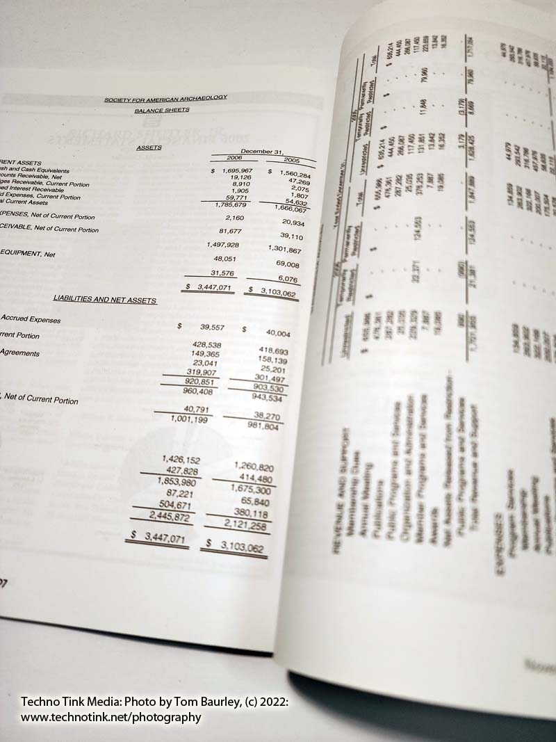 The SAA Archaeological Record, November 2007, Vol 7, Number 5 - Image 6