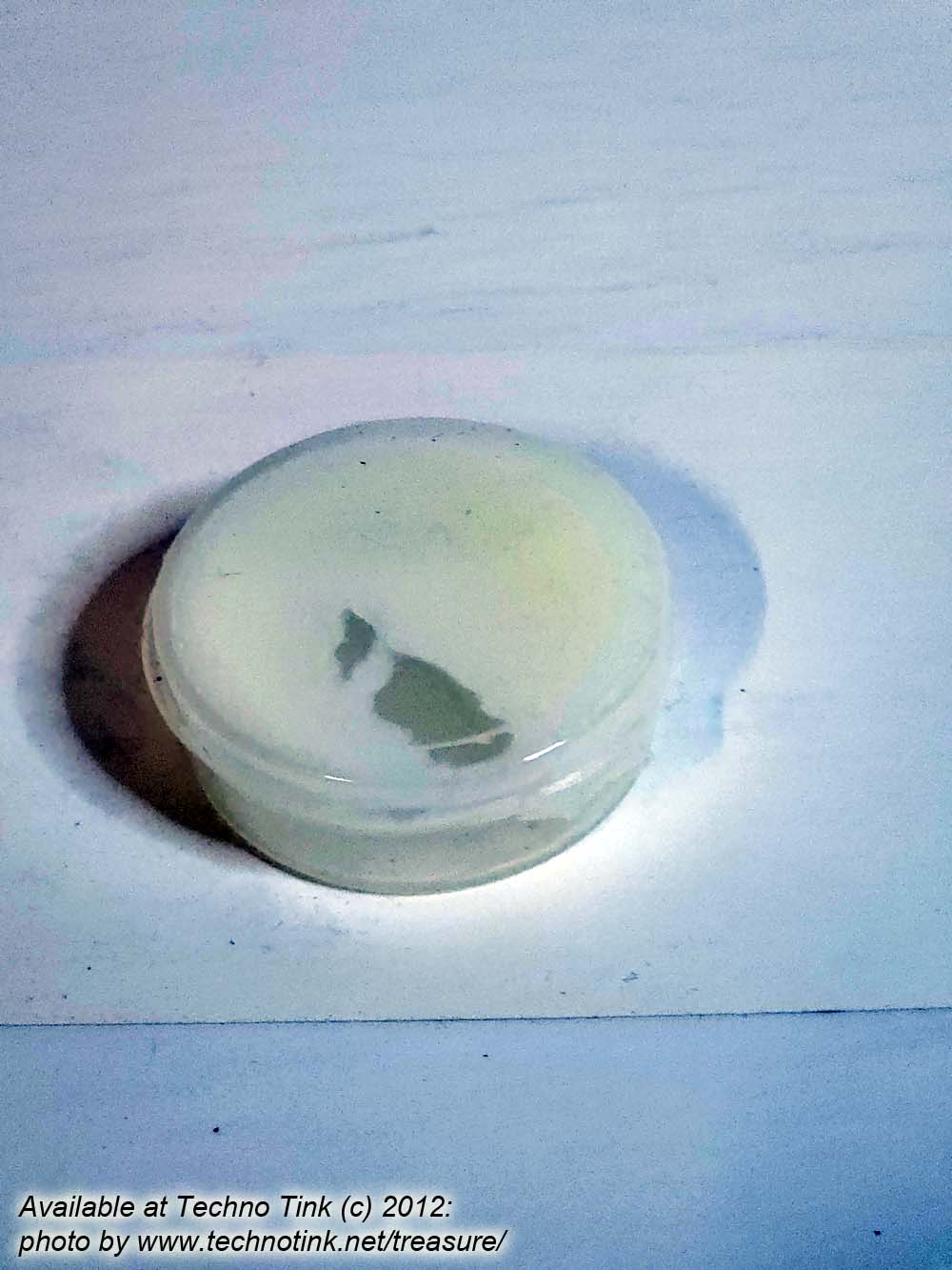 Small 1/4 oz Eucalyptus Hazelnut Ostrich Oil Salve - Image 5