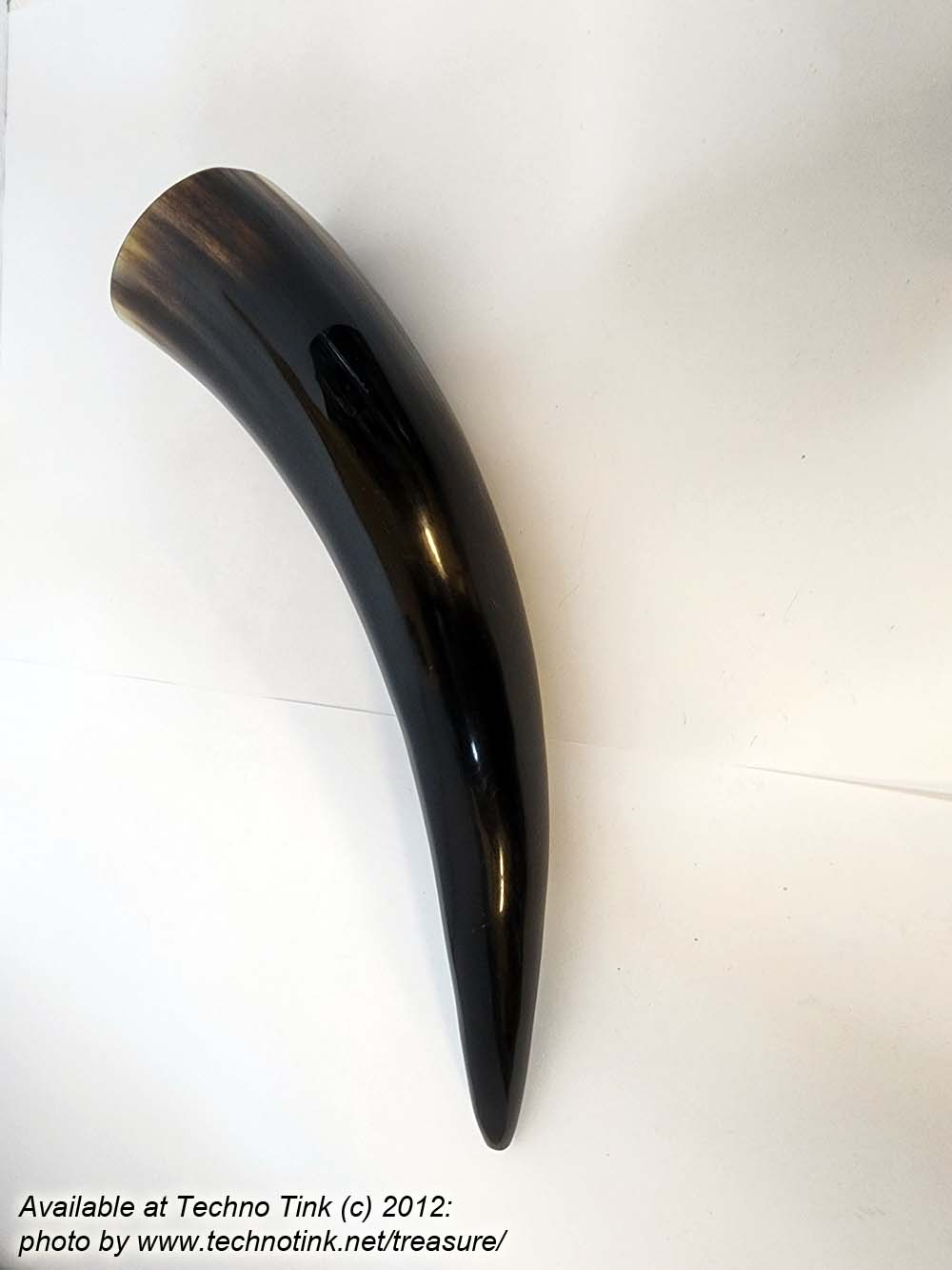 Water Buffalo Viking Drinking Horn average 12-15 inch - Image 2
