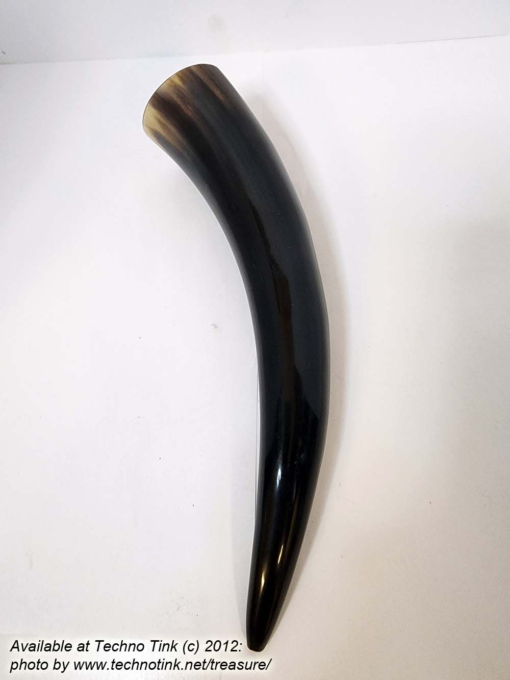 Water Buffalo Viking Drinking Horn average 12-15 inch - Image 3