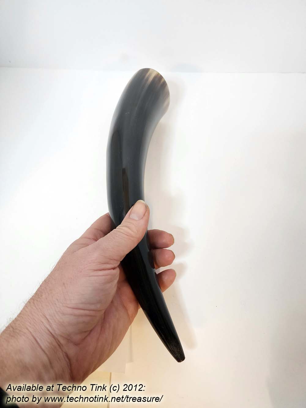 Water Buffalo Viking Drinking Horn average 12-15 inch - Image 5