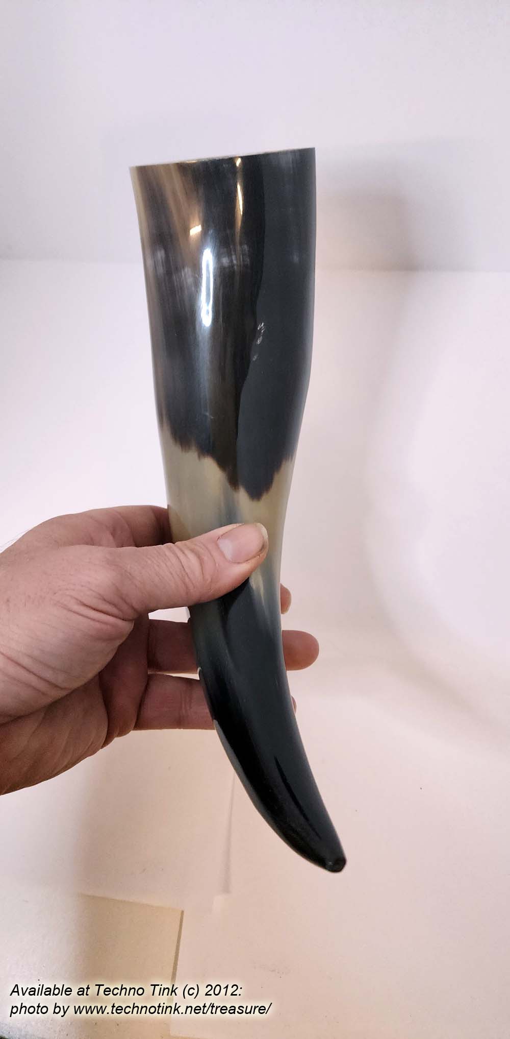 Water Buffalo Viking Drinking Horn average 12-15 inch - Image 11
