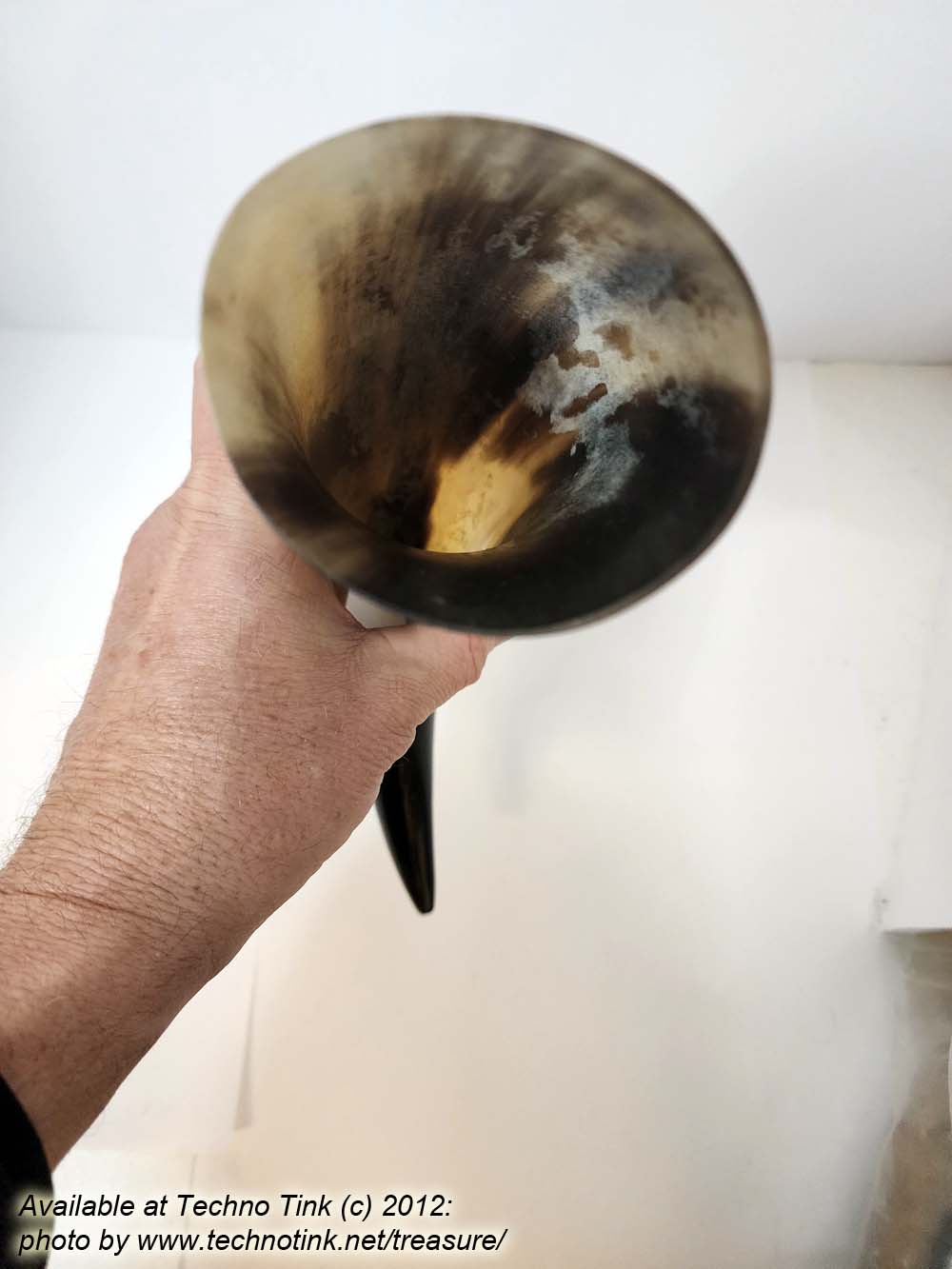 Water Buffalo Viking Drinking Horn average 12-15 inch - Image 13