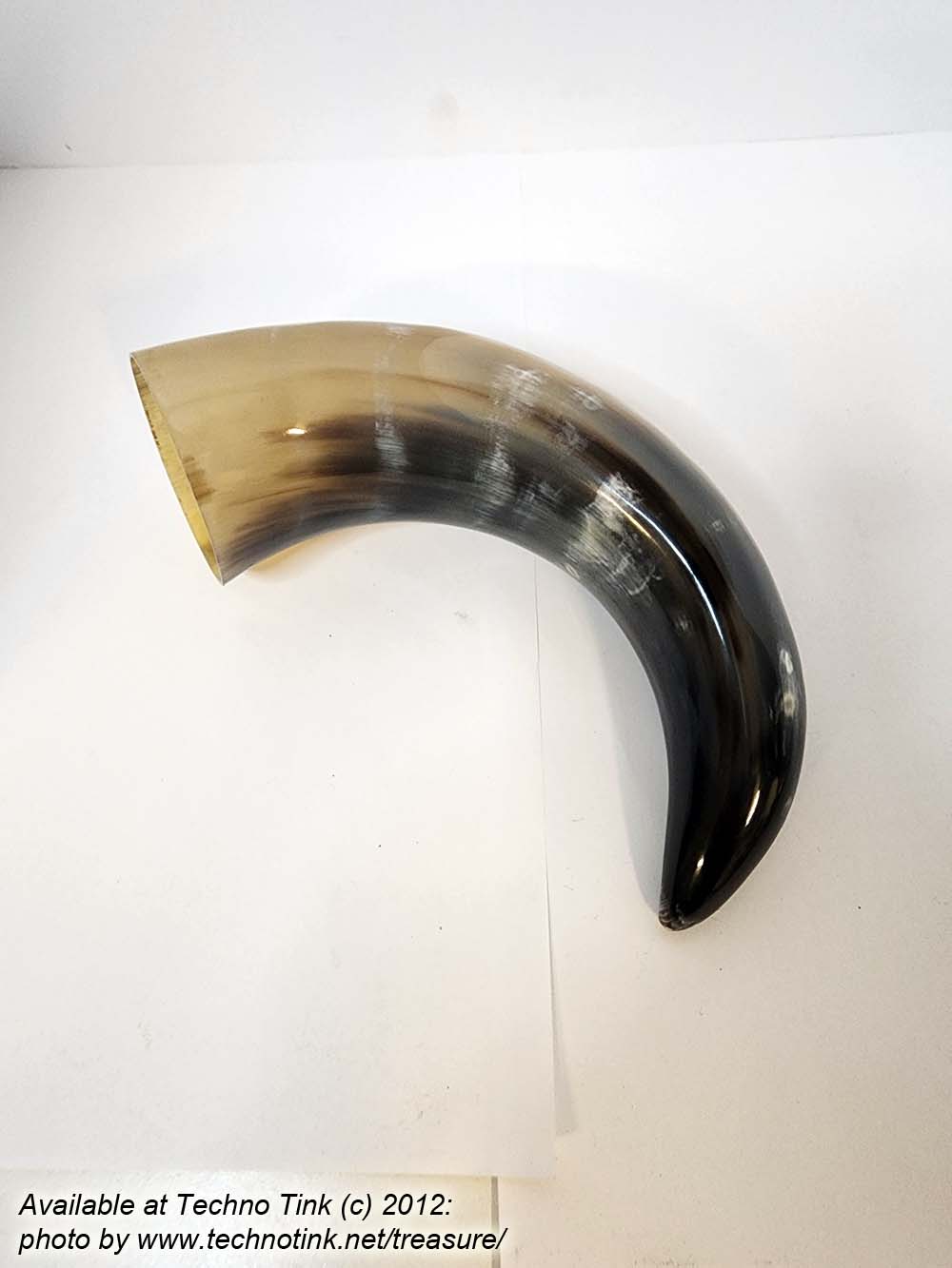 Water Buffalo Viking Drinking Horn average 12-15 inch - Image 17